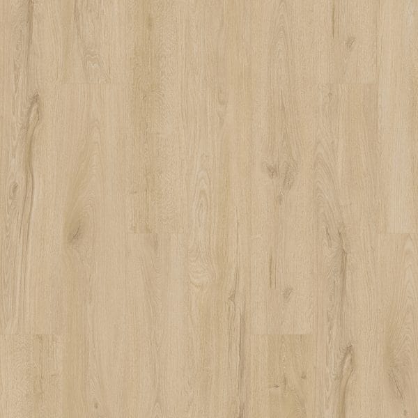 Karastan - Karastan Artisan Reserve Bellini | Giant Commercial Flooring
