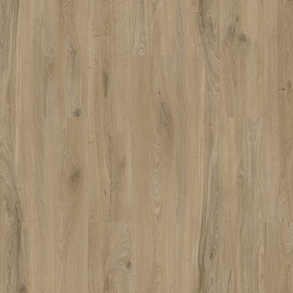 In-stock Specials - Karastan Artisan Reserve Pemberton | Giant Commercial Flooring