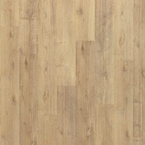 Eco-friendly | Hybrid - PureTech Plus Ellenwood Fallen Leaf Oak | Giant Commercial Flooring