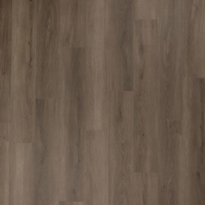 Aladdin Aladdin Bentwood 5.0 Rutledge Aladdin Aladdin - Aladdin Bentwood 5.0 Rutledge | Giant Commercial Flooring
