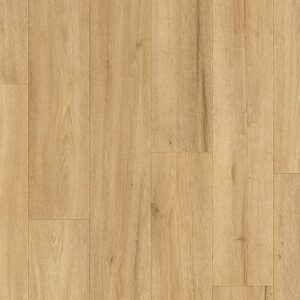 Laminate - Country Asheville Oak | Giant Commercial Flooring