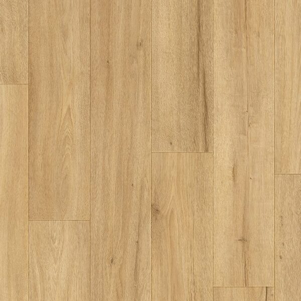 Laminate - Country Asheville Oak | Giant Commercial Flooring