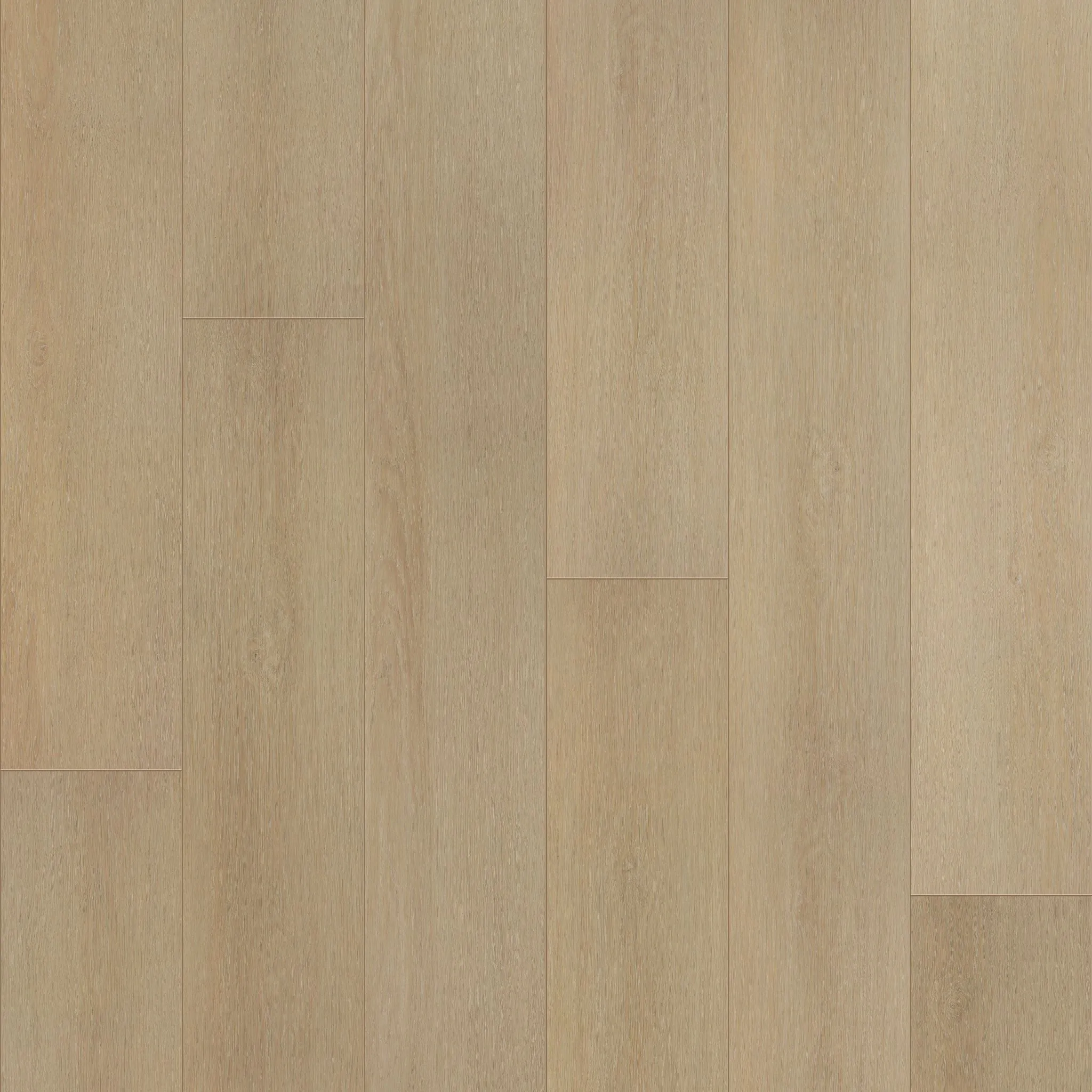 COREtec CR501 COREtec Premium Soft Cashmere Oak Coretec COREtec - CR501 COREtec Premium Soft Cashmere Oak | Giant Commercial Flooring
