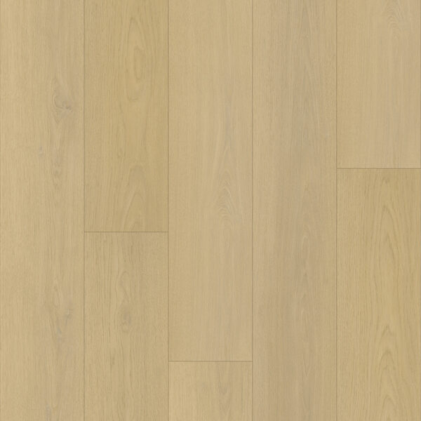 Richmond Endeavour Highfield Endeavour Richmond - Endeavour Highfield | Giant Commercial Flooring